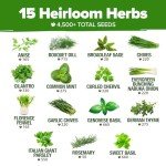 Culinary Herb Seed Kit for Indoor Gardens