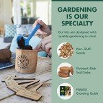 Mini Bonsai Tree Seed Starter Kit with Soils