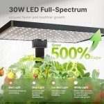 SUNCOZE 20-Pod Hydroponics Indoor Herb Garden Kit