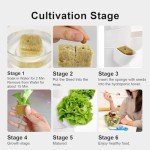 GROWNEER Hydroponic Vertical Garden System for 35 Plants