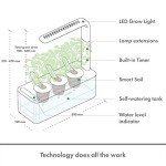 Smart Indoor Herb Garden Kit with Grow Light
