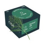Fernleaf Dill Seed Pod Kit for Hydroponics - 4-Pack