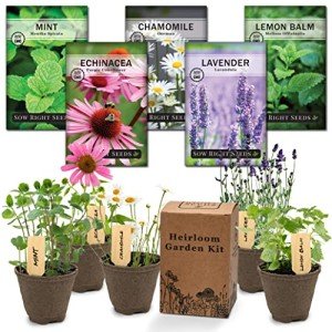 Herbal Tea Garden Grow Kit – Indoor Seed Pack
