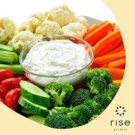 Fernleaf Dill Seed Pod Kit for Hydroponics - 4-Pack