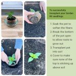 Herbal Tea Garden Grow Kit – Indoor Seed Pack