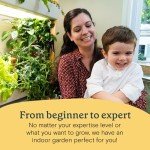 Fernleaf Dill Seed Pod Kit for Hydroponics - 4-Pack