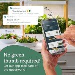 Fernleaf Dill Seed Pod Kit for Hydroponics - 4-Pack