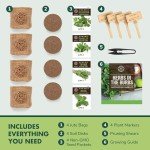 Indoor Herb Garden Kit - Grow Your Own Herbs