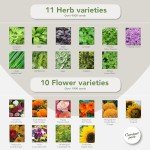 50 Seed Sachets for Indoor Garden Variety