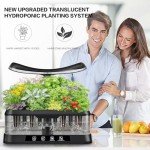Smart Hydroponic Herb Garden with LED Grow Light