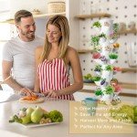 Vertical Hydroponics Garden System for Indoor Plants