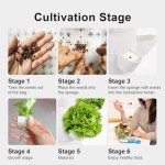 GROWNEER 35-Plant Hydroponics Indoor Garden System