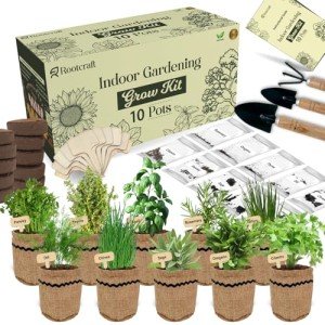 Herb Garden Planter Kit with Pots and Tools