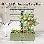 Indoor Hydroponic Herb Garden with LED Grow Light