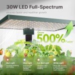 Indoor Hydroponic Herb Garden with LED Grow Light