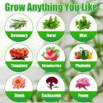 Ambgrow 50 Pack Hydroponic Seed Starter Pods