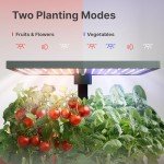 Indoor Hydroponic Herb Garden with LED Grow Light
