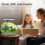 Indoor Hydroponic Herb Garden with LED Grow Light