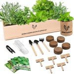 Indoor Herb Garden Kit with Seeds & Planters