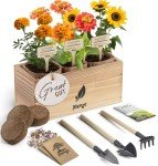Flower Seeds Growing Kit for Indoor & Outdoor Fun