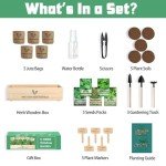 Indoor Herb Garden Kit with Seeds & Planters