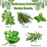 Indoor Herb Garden Kit with Seeds & Planters