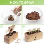 Flower Seeds Growing Kit for Indoor & Outdoor Fun