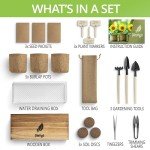 Flower Seeds Growing Kit for Indoor & Outdoor Fun