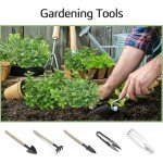 Indoor Herb Garden Kit with Seeds & Planters