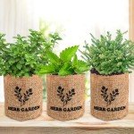Indoor Herb Garden Kit with Seeds & Planters