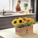 Flower Seeds Growing Kit for Indoor & Outdoor Fun