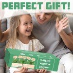 Indoor Herb Garden Kit with Seeds & Planters