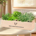 Indoor Herb Garden Kit with Seeds & Planters