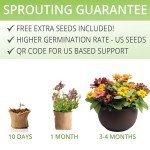 Flower Seeds Growing Kit for Indoor & Outdoor Fun