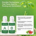 Hydroponic Seed Pods Kit for Indoor Gardening