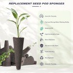 50 Hydroponic Grow Sponges with Labels and Tweezers