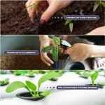 50 Hydroponic Grow Sponges with Labels and Tweezers