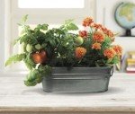 Kids Windowsill Garden Kit: Tomato & Marigold