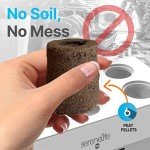 Smart Hydroponic Herb Garden Kit with Grow Light