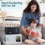 iDOO 5-Pod Indoor Hydroponic Herb Garden System