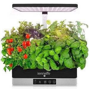 Smart Hydroponic Indoor Herb Garden with Grow Lights