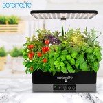 Smart Hydroponic Indoor Herb Garden with Grow Lights