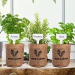 Indoor Herb Garden Kit with 5 Non-GMO Seeds