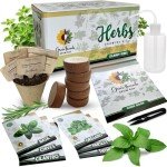Indoor Herb Garden Kit with Non-GMO Seeds