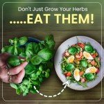 Indoor Herb Garden Kit with Non-GMO Seeds