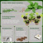 Indoor Herb Garden Kit with Non-GMO Seeds