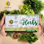 Indoor Herb Garden Kit with Non-GMO Seeds