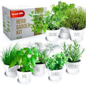 Deluxe Indoor Herb Garden Kit with 8 Varieties