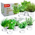 Deluxe Indoor Herb Garden Kit with 8 Varieties