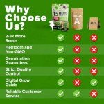 Culinary Herb Seed Kit for Indoor Gardens